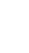 Organización participante