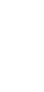 Organización participante