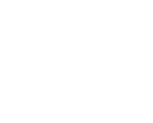 Organización participante