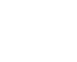 Organización participante