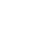 Organización participante