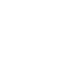 Organización participante