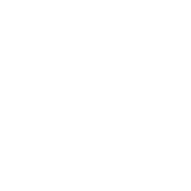 Organización participante