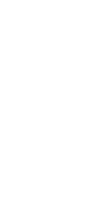 Organización participante