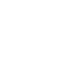 Organización participante
